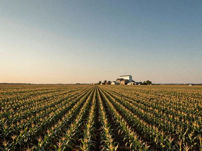 Illinois cornfields with grain elevator - explore Illinois farmers dating