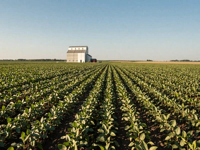 Illinois farmland with soybean fields and grain elevator on flat Midwest terrain for Illinois farmers dating