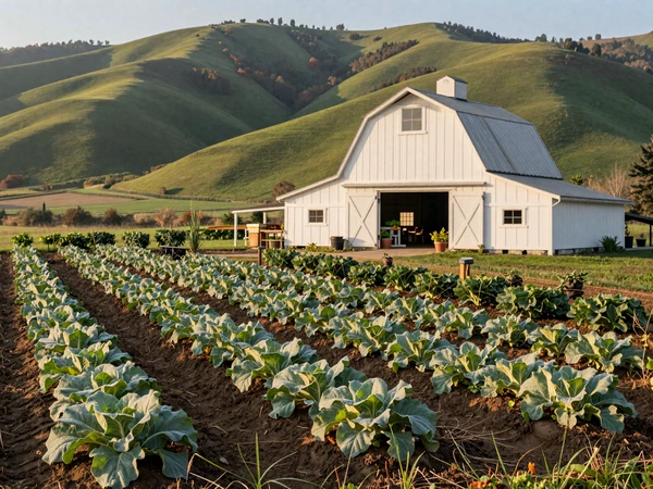 Peaceful American organic farm with neat vegetable rows and a white barn in warm morning light