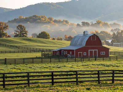 Tennessee farm with rolling pastures and Smoky Mountains - Tennessee farmers dating