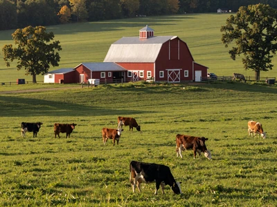 Wisconsin dairy farmland with red barn and green pastures for Wisconsin farmers dating