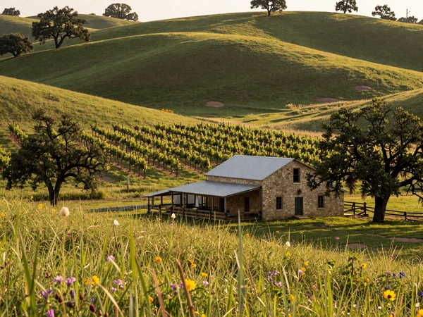Texas Hill Country vineyards and wildflower fields with farmhouse for Hill Country farm dating