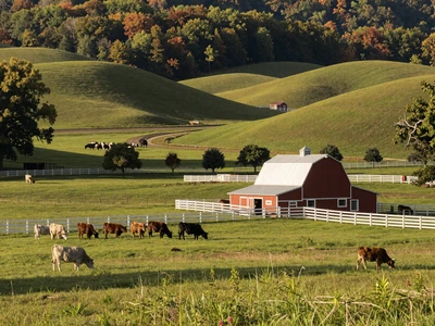 Missouri Ozark farmland with cattle and red barn for Missouri farmers dating