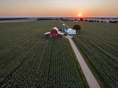 Iowa farmland at golden hour with rows of corn stretching to the horizon and a red barn