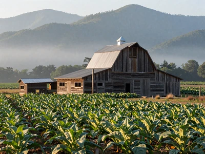 North Carolina farm with tobacco fields and Blue Ridge Mountains - North Carolina farmers dating