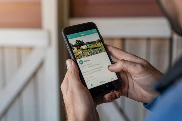 Farmer checking a dating app on their phone outside a barn - online dating tips for farmers