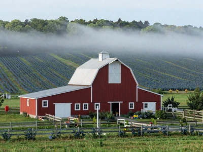 Rustic Maine farm with red barn and blueberry fields - Maine farmers dating